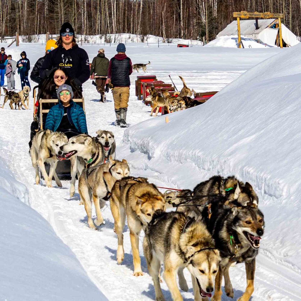 Iditarod (2 of 58)